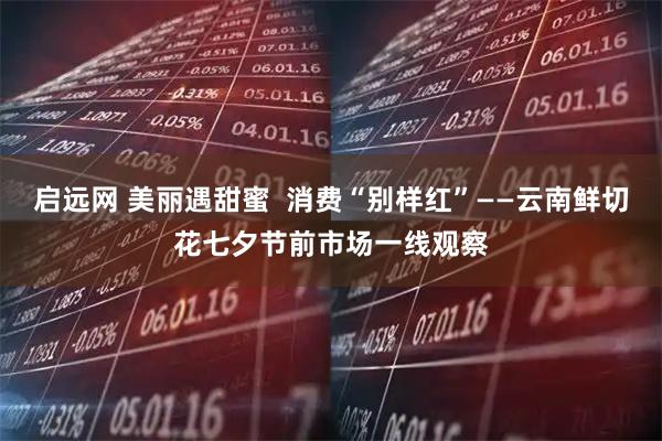 启远网 美丽遇甜蜜  消费“别样红”——云南鲜切花七夕节前市场一线观察