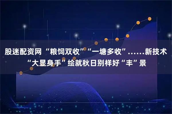 股迷配资网 “粮饲双收”“一塘多收”……新技术“大显身手”绘就秋日别样好“丰”景