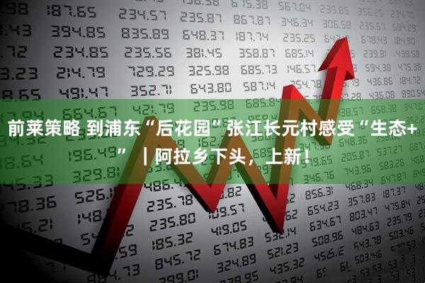 前莱策略 到浦东“后花园”张江长元村感受“生态+” ｜阿拉乡下头，上新！