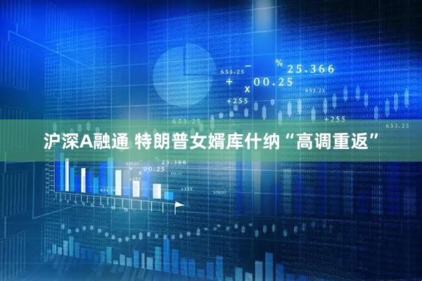 沪深A融通 特朗普女婿库什纳“高调重返”
