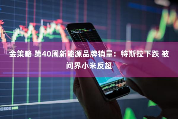 金策略 第40周新能源品牌销量：特斯拉下跌 被问界小米反超